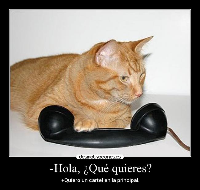 -Hola, ¿Qué quieres? - +Quiero un cartel en la principal.