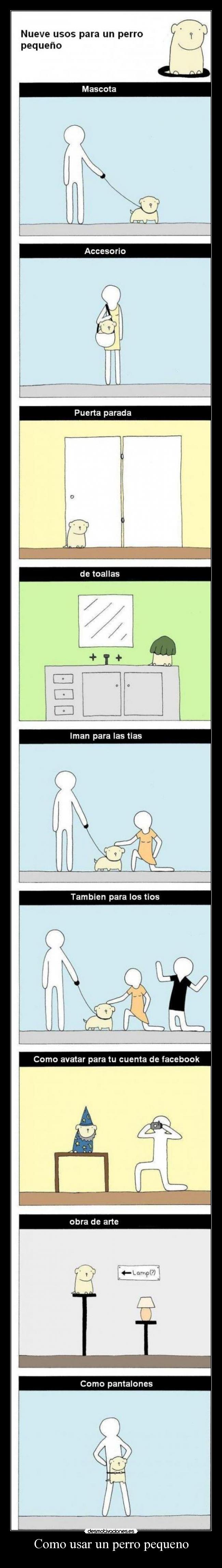 Como usar un perro pequeno -