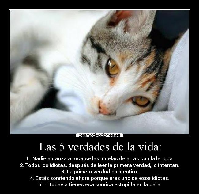 Las 5 verdades de la vida: - 1.  Nadie alcanza a tocarse las muelas de atrás con la lengua.
2. Todos los idiotas, después de leer la primera verdad, lo intentan.
3. La primera verdad es mentira.
4. Estás sonriendo ahora porque eres uno de esos idiotas.
5. ... Todavía tienes esa sonrisa estúpida en la cara.