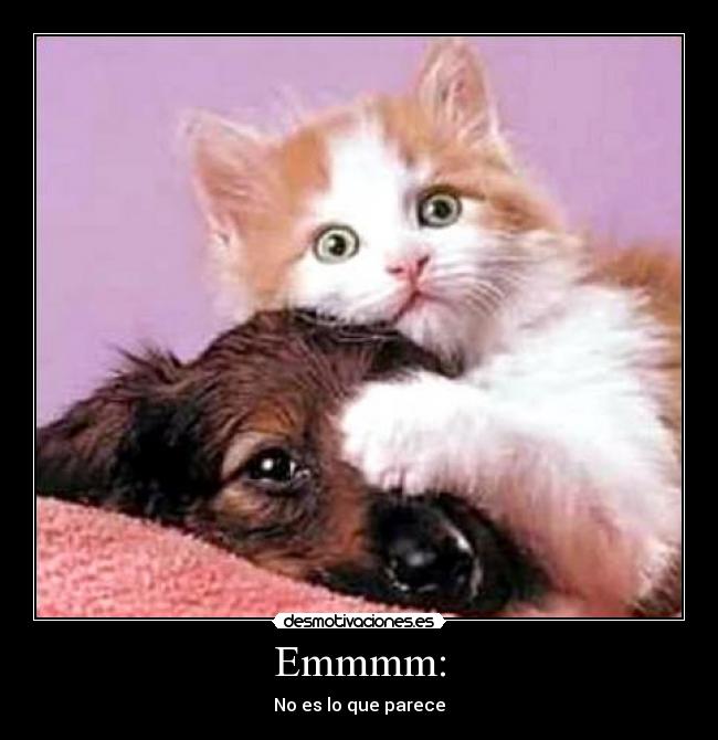 Emmmm: - No es lo que parece