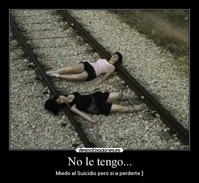 No le tengo... - 