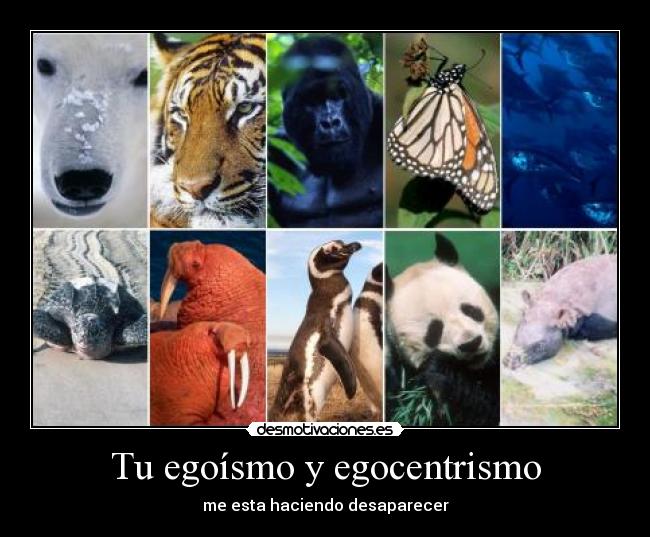 Tu egoísmo y egocentrismo - me esta haciendo desaparecer
