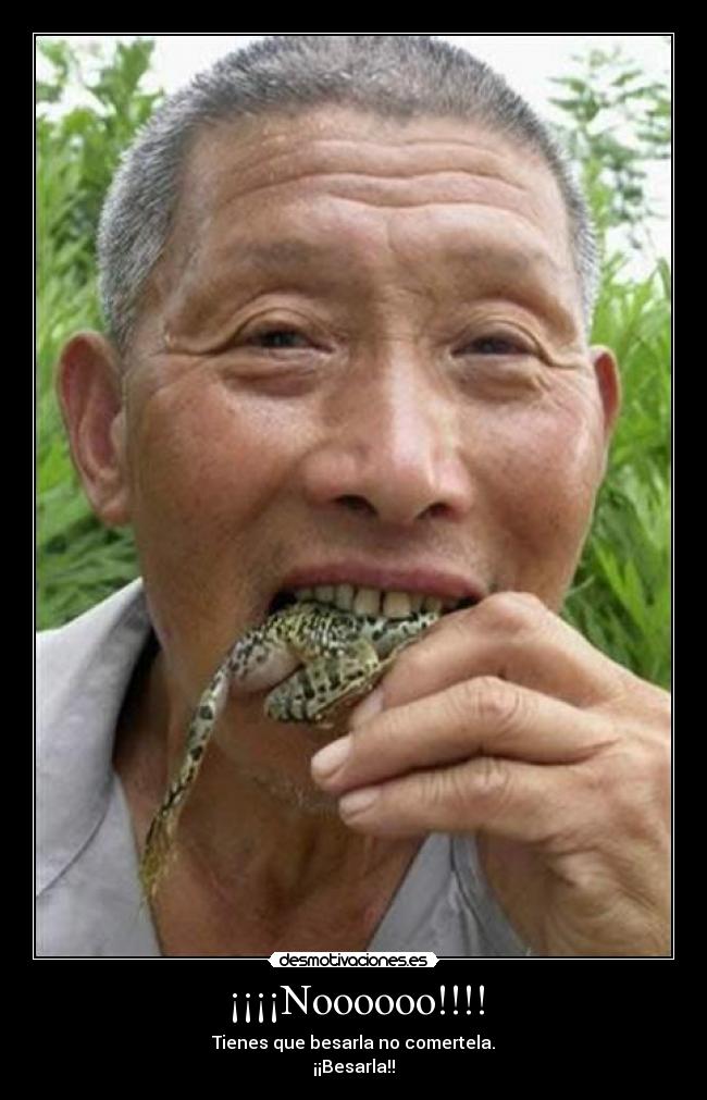 ¡¡¡¡Noooooo!!!! - 