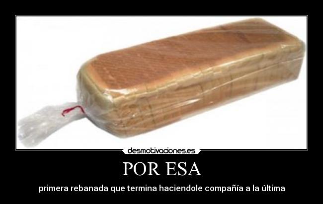 carteles por esa primera rebanada que termina haciendole compania ultima desmotivaciones