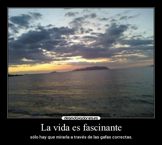 La vida es fascinante - sólo hay que mirarla a través de las gafas correctas.
