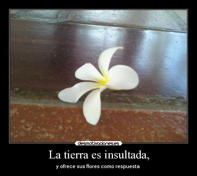 La tierra es insultada, - y ofrece sus flores como respuesta