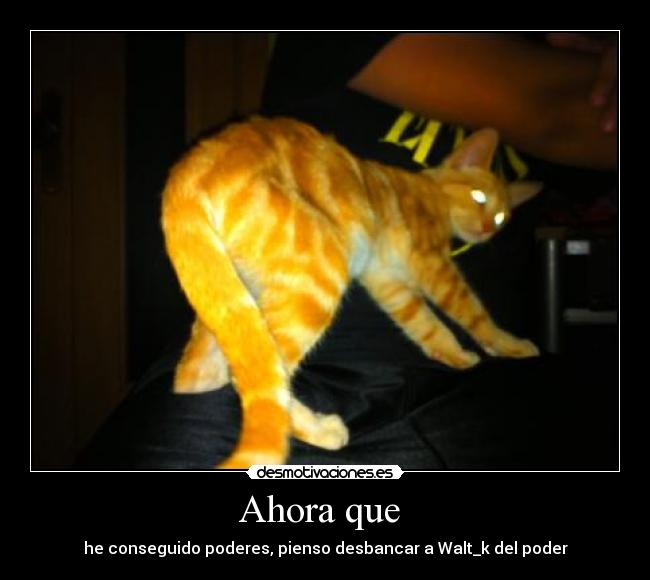 Ahora que  - he conseguido poderes, pienso desbancar a Walt_k del poder
