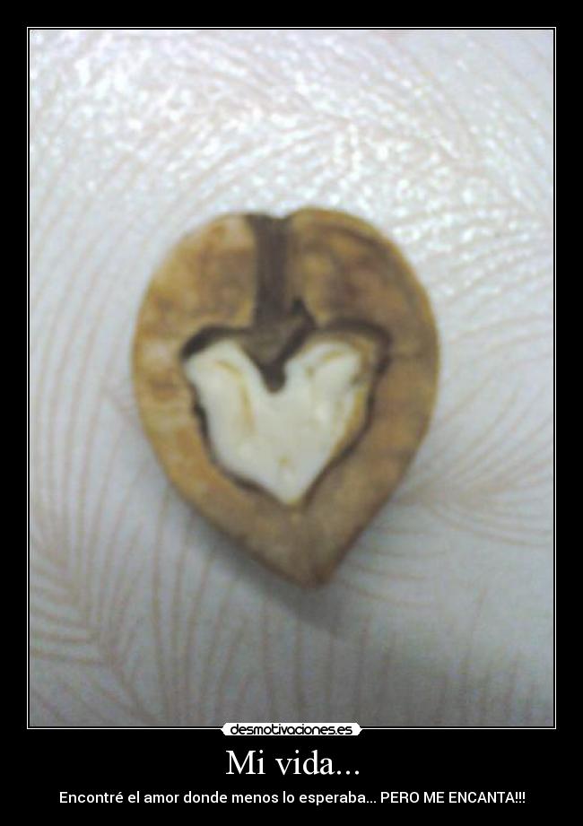 Mi vida... - 