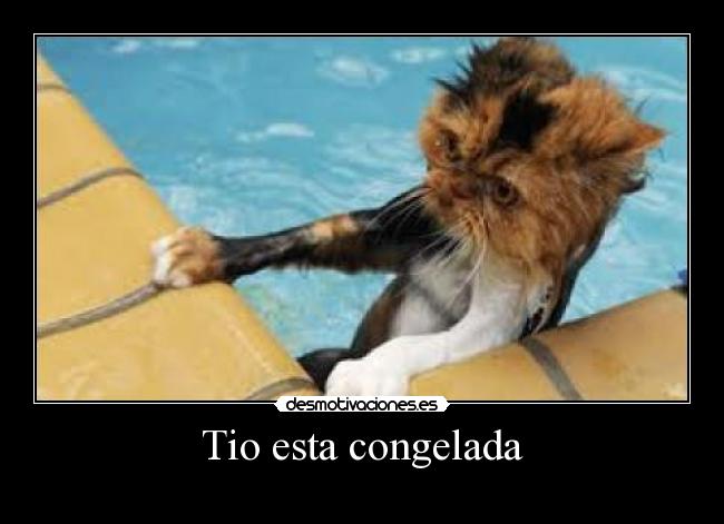 Tio esta congelada - 