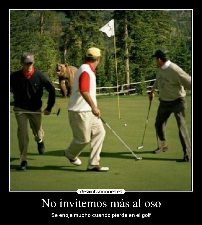 carteles oso golf plata desmotivaciones
