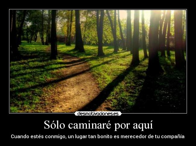 carteles bosque caminar aqui conmigo lugar parque bonito desmotivaciones