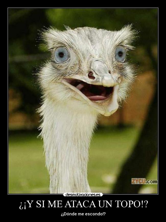 ¿¡Y SI ME ATACA UN TOPO!? -