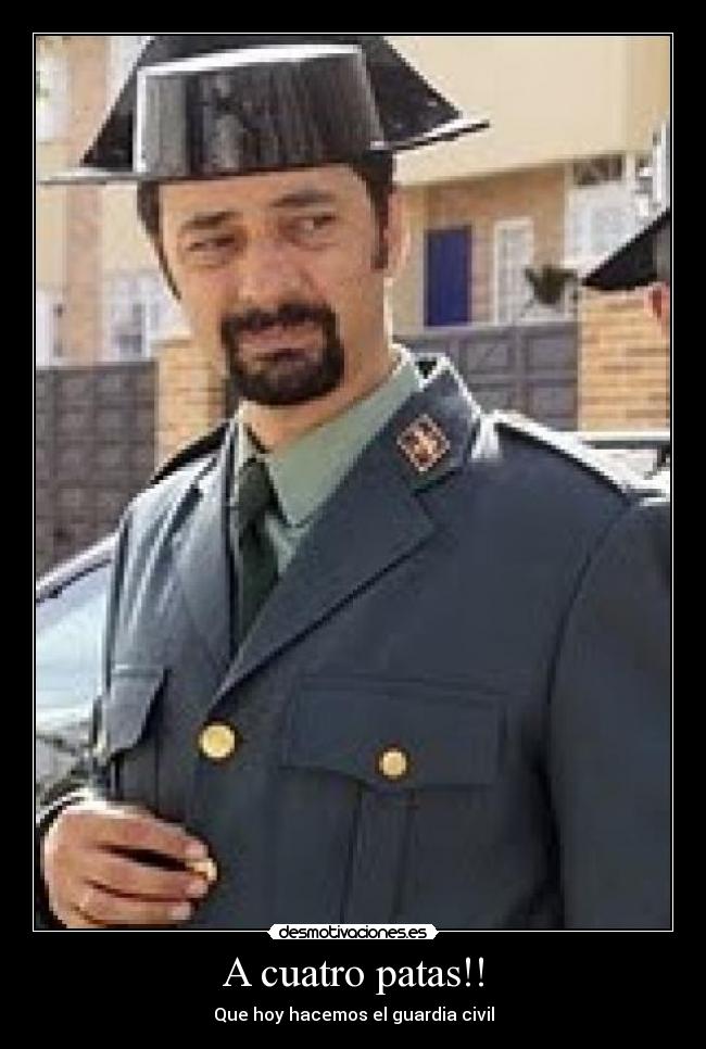 A cuatro patas!! -