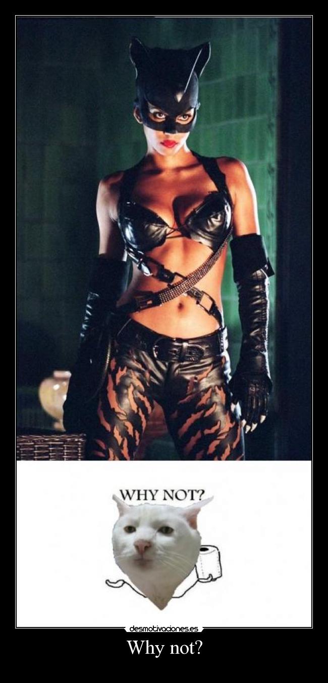 carteles why not desmotivaciones