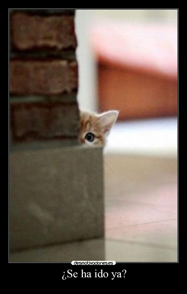 ¿Se ha ido ya? - 