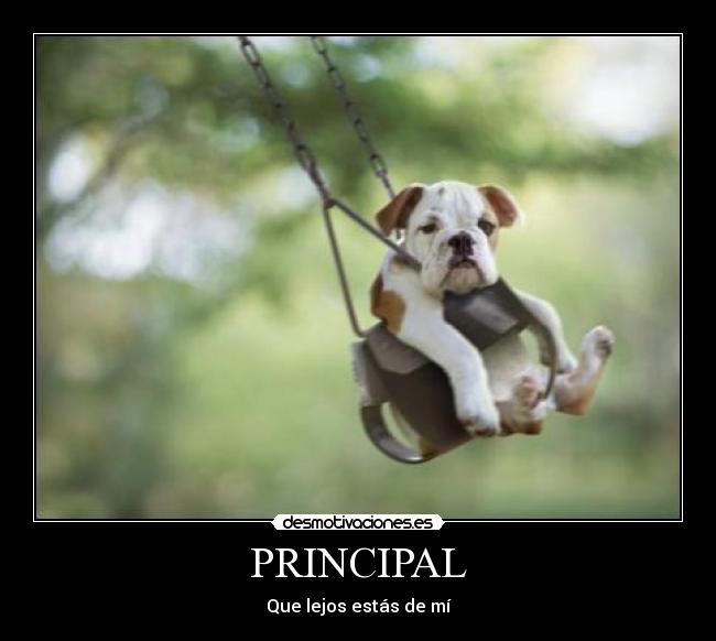 PRINCIPAL - 