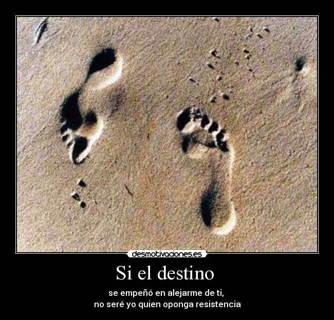 Si el destino - se empeñó en alejarme de ti,
no seré yo quien oponga resistencia