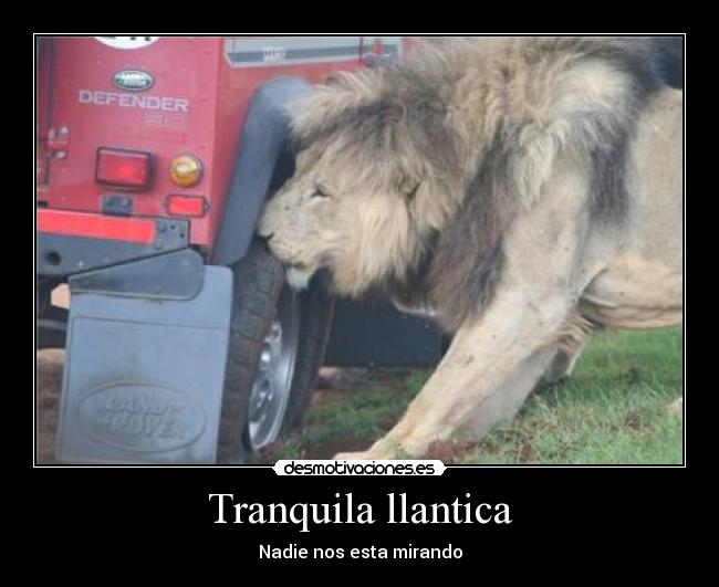 Tranquila llantica - 