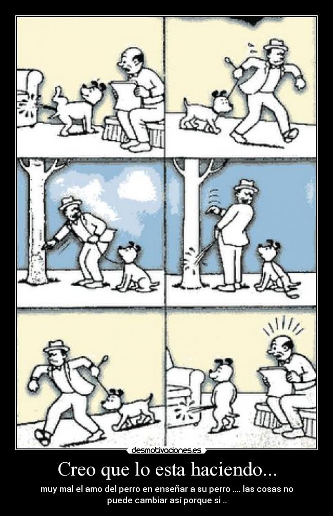 Creo que lo esta haciendo... - muy mal el amo del perro en enseñar a su perro .... las cosas no
puede cambiar así porque si ..