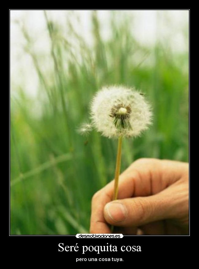 Seré poquita cosa -