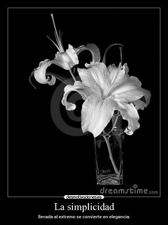 La simplicidad - llevada al extremo se convierte en elegancia.