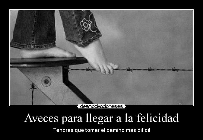 Aveces para llegar a la felicidad -