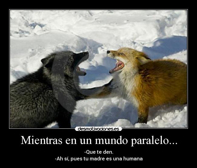 Mientras en un mundo paralelo... -