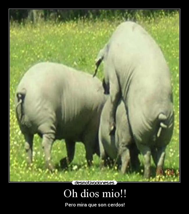 carteles dios todos desmotivaciones