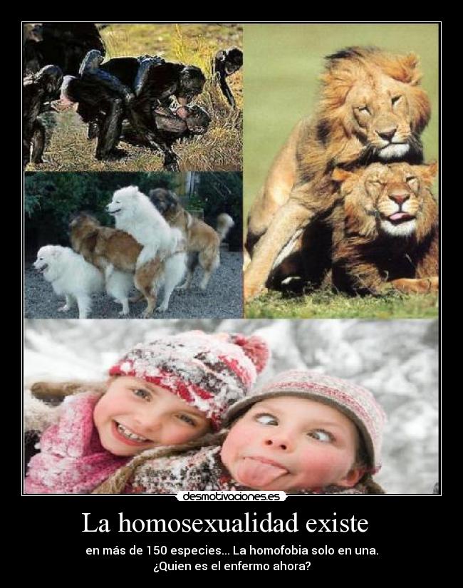 La homosexualidad existe   - 