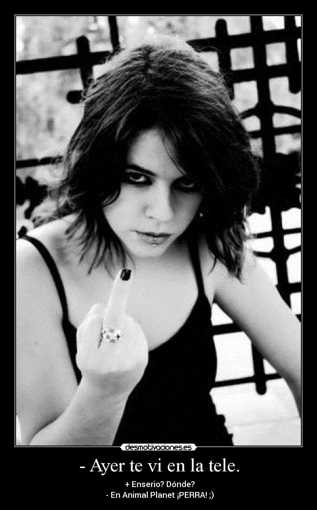 - Ayer te vi en la tele. -  + Enserio? Dónde?
 - En Animal Planet ¡PERRA! ;)