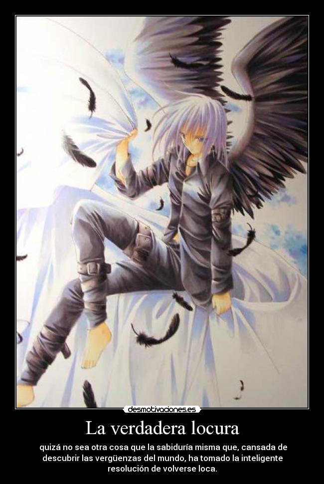 La verdadera locura -