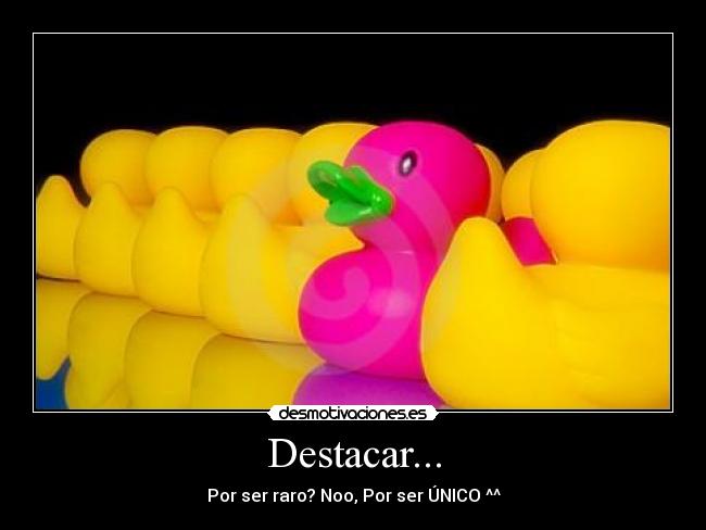 Destacar... -