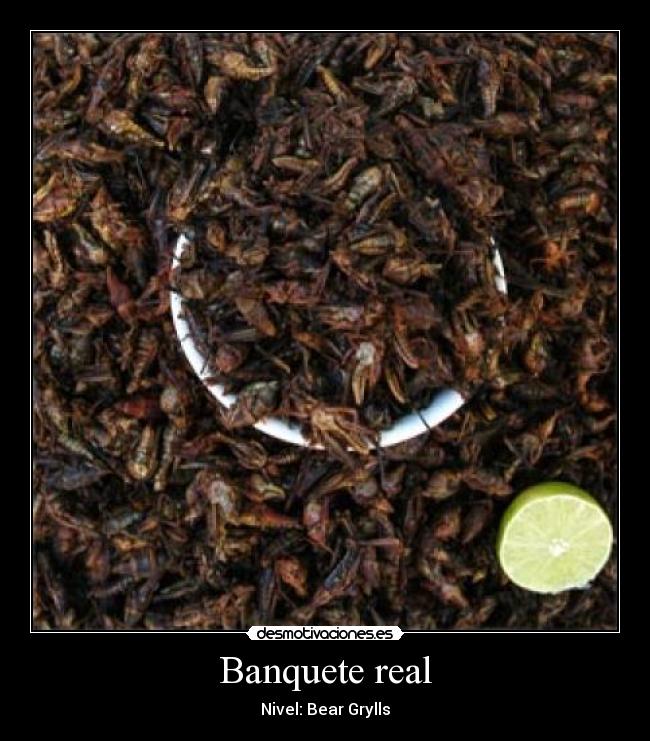 carteles bear grylls cucarachas desmotivaciones