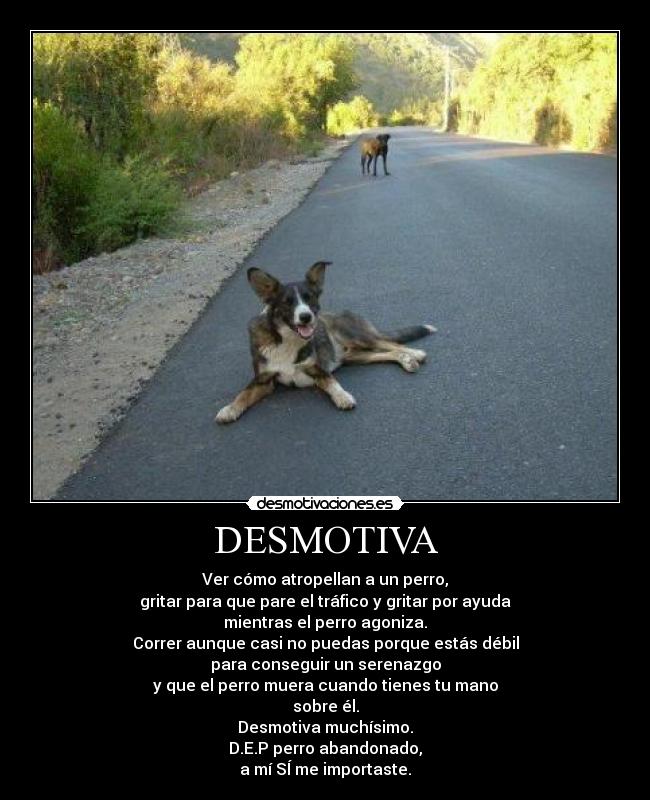 DESMOTIVA -