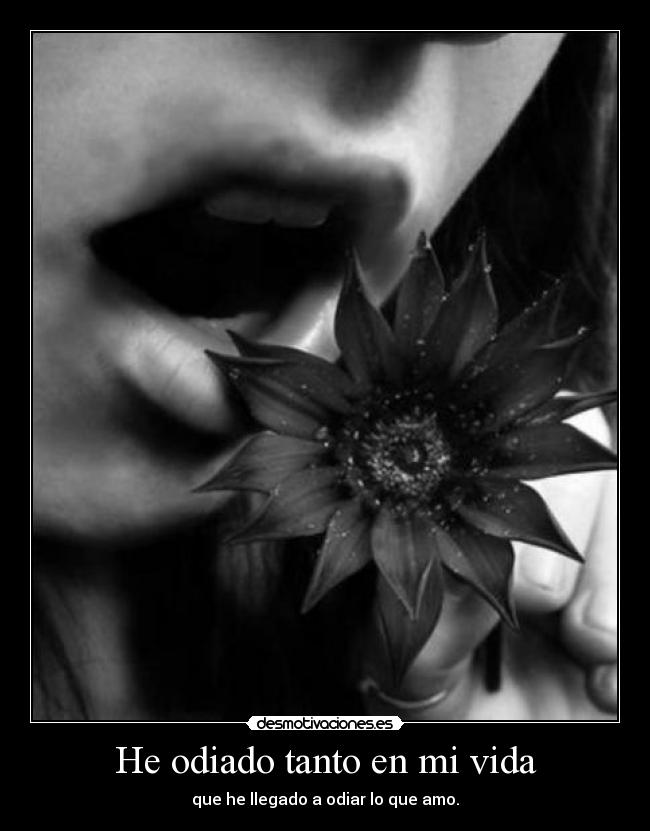 He odiado tanto en mi vida - que he llegado a odiar lo que amo.