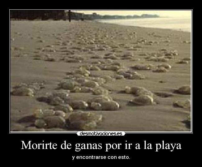 Morirte de ganas por ir a la playa - y encontrarse con esto.