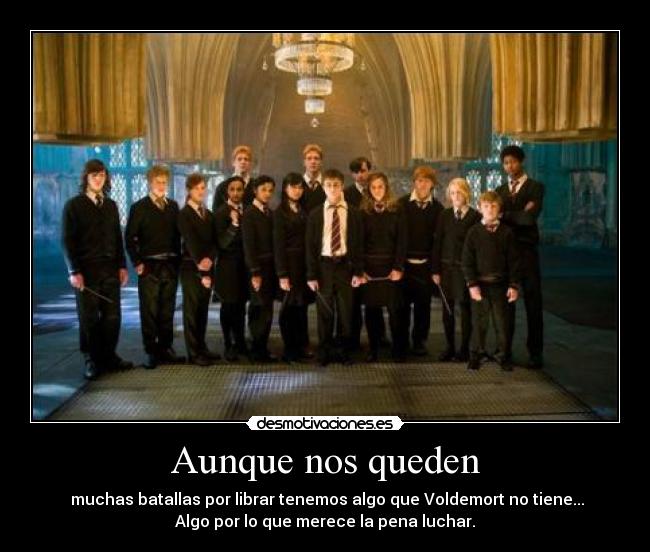 carteles orden fenix dumbeldore ejercito batallas librar voldemortharry potter ron hermione desmotivaciones