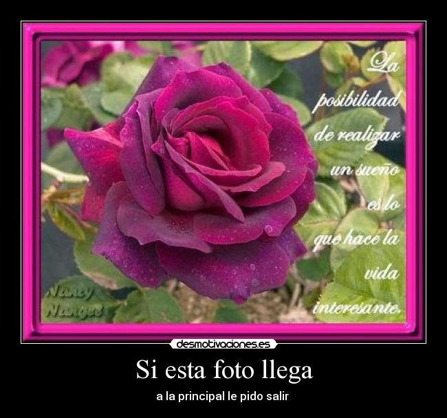 Si esta foto llega - a la principal le pido salir