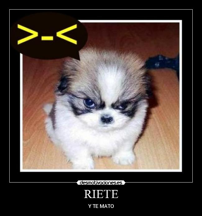 RIETE -