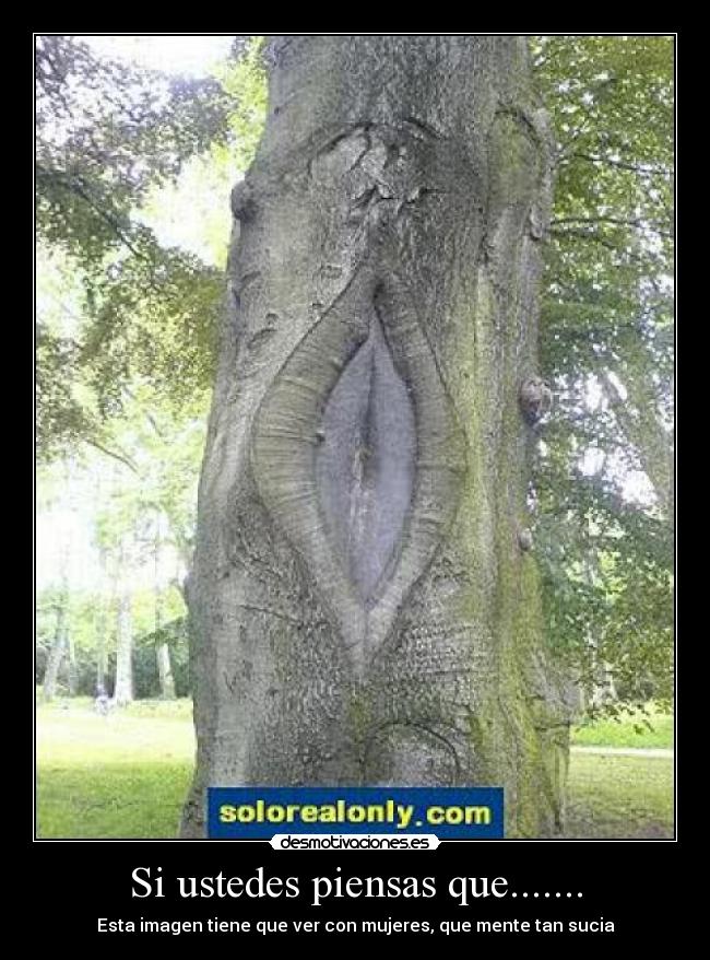 Si ustedes piensas que....... - Esta imagen tiene que ver con mujeres, que mente tan sucia
