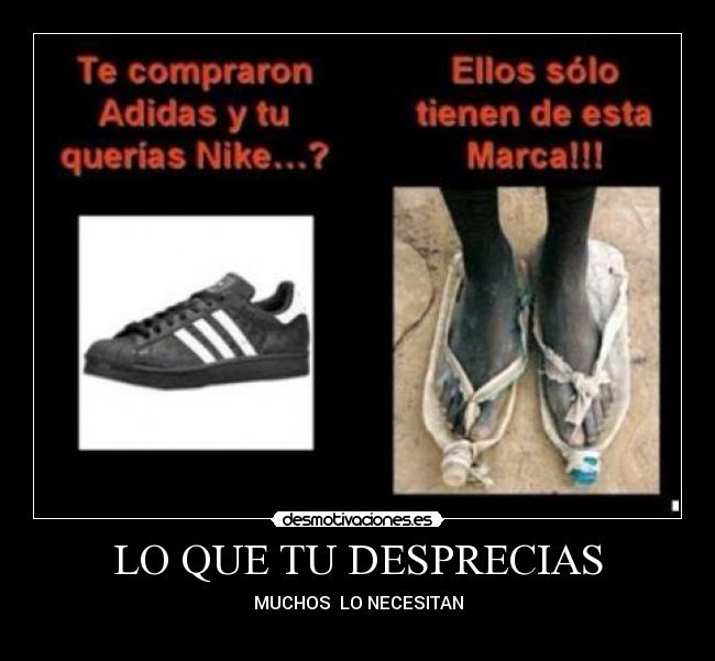 LO QUE TU DESPRECIAS - 