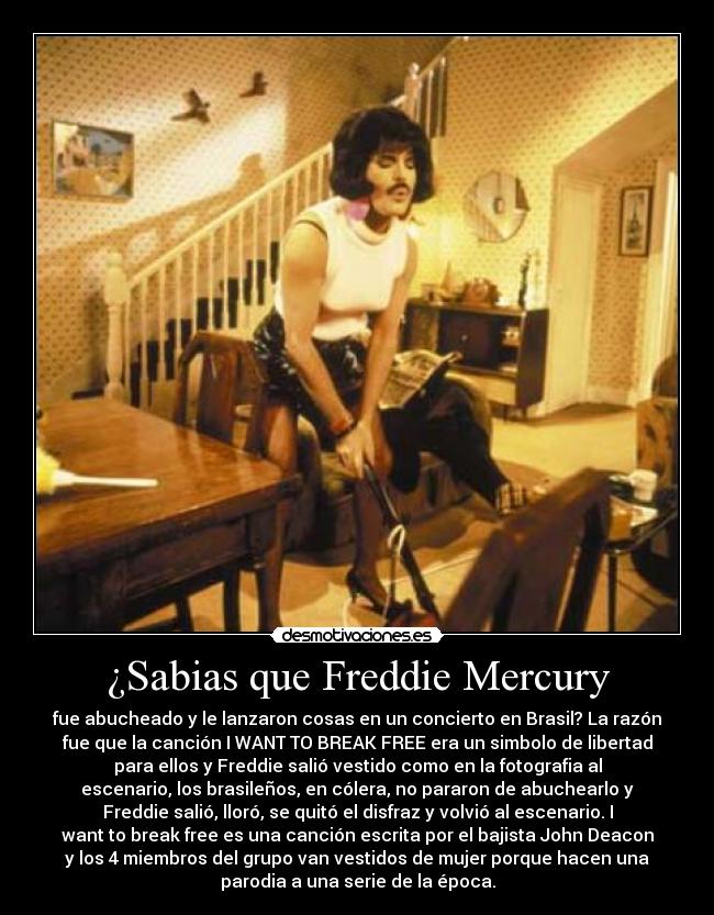 ¿Sabias que Freddie Mercury - 