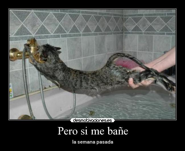 Pero si me bañe -
