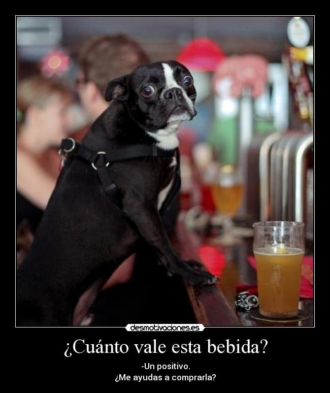 ¿Cuánto vale esta bebida? - 