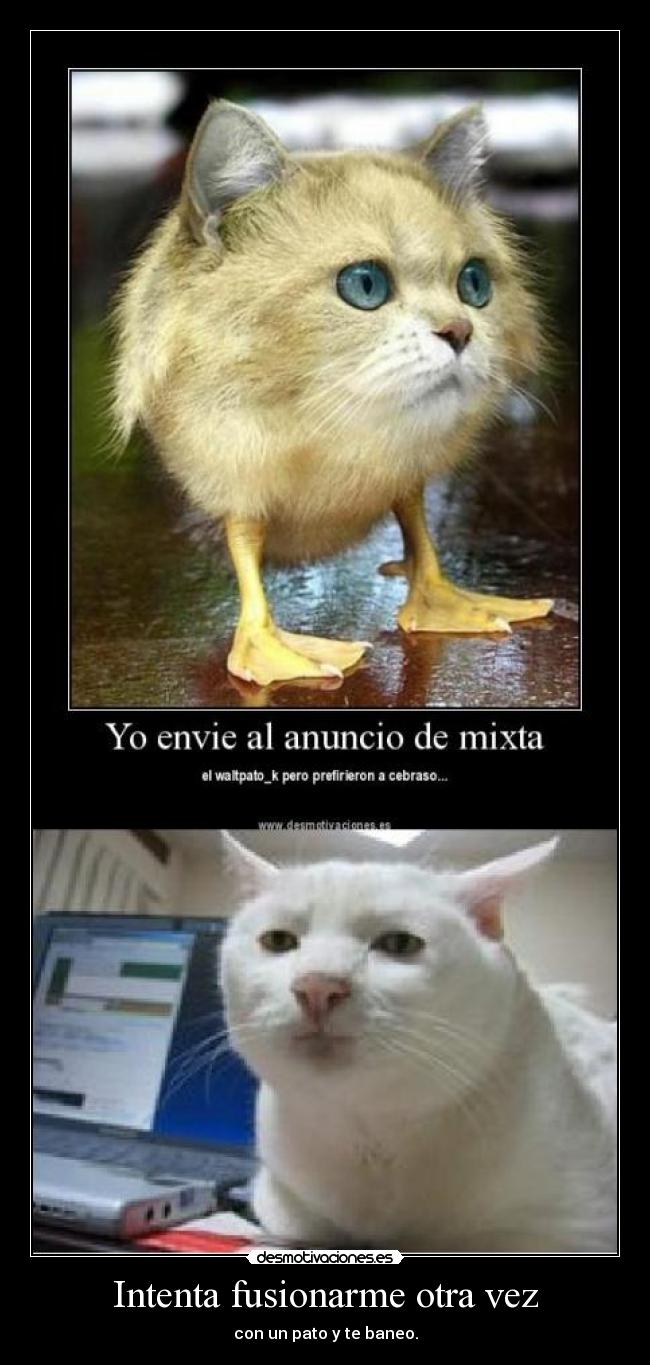 carteles fuision desmotivaciones