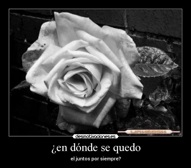 ¿en dónde se quedo - el juntos por siempre?
