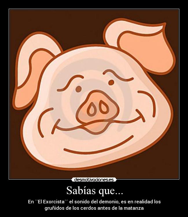 Sabías que... - En ``El Exorcista´´ el sonido del demonio, es en realidad los
gruñidos de los cerdos antes de la matanza