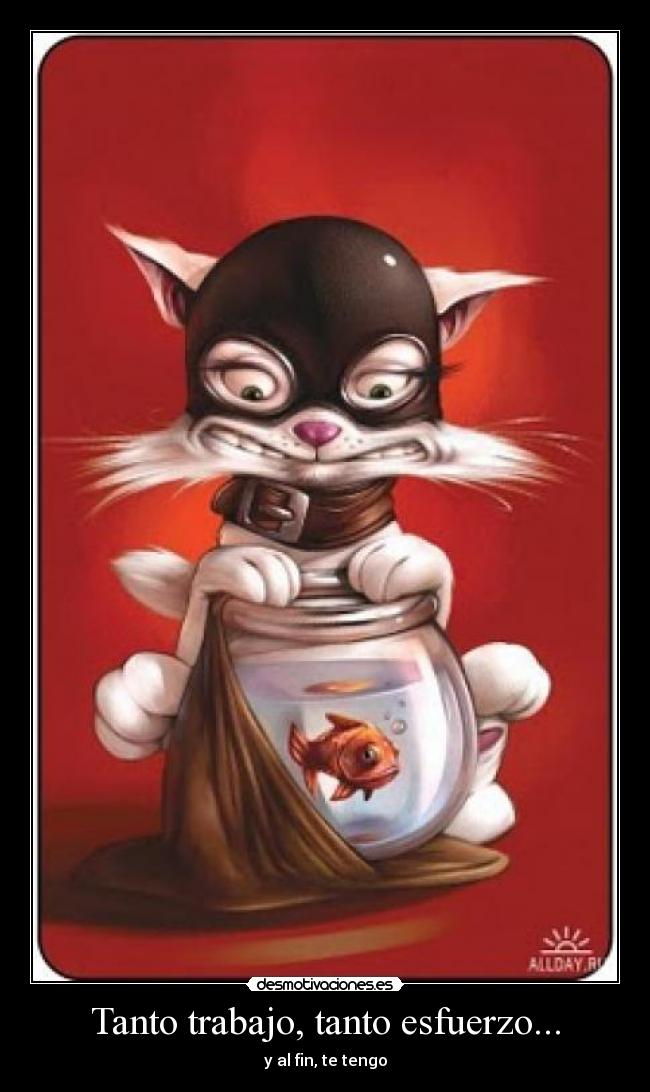 Tanto trabajo, tanto esfuerzo... - y al fin, te tengo