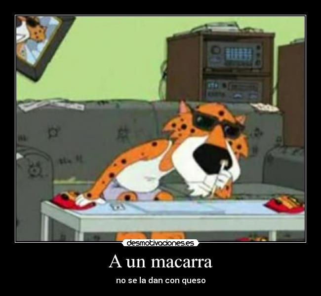 A un macarra - no se la dan con queso