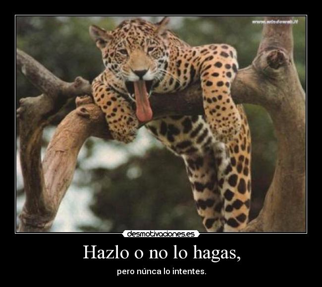 carteles hazlo desmotivaciones